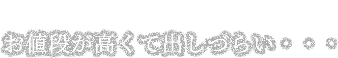 美容鍼は興味があるけれど、お値段が高くて出しづらい・・・